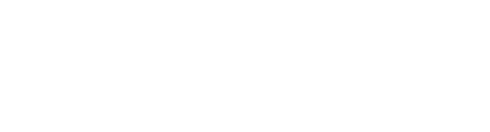 Intellique Open Digital Vault